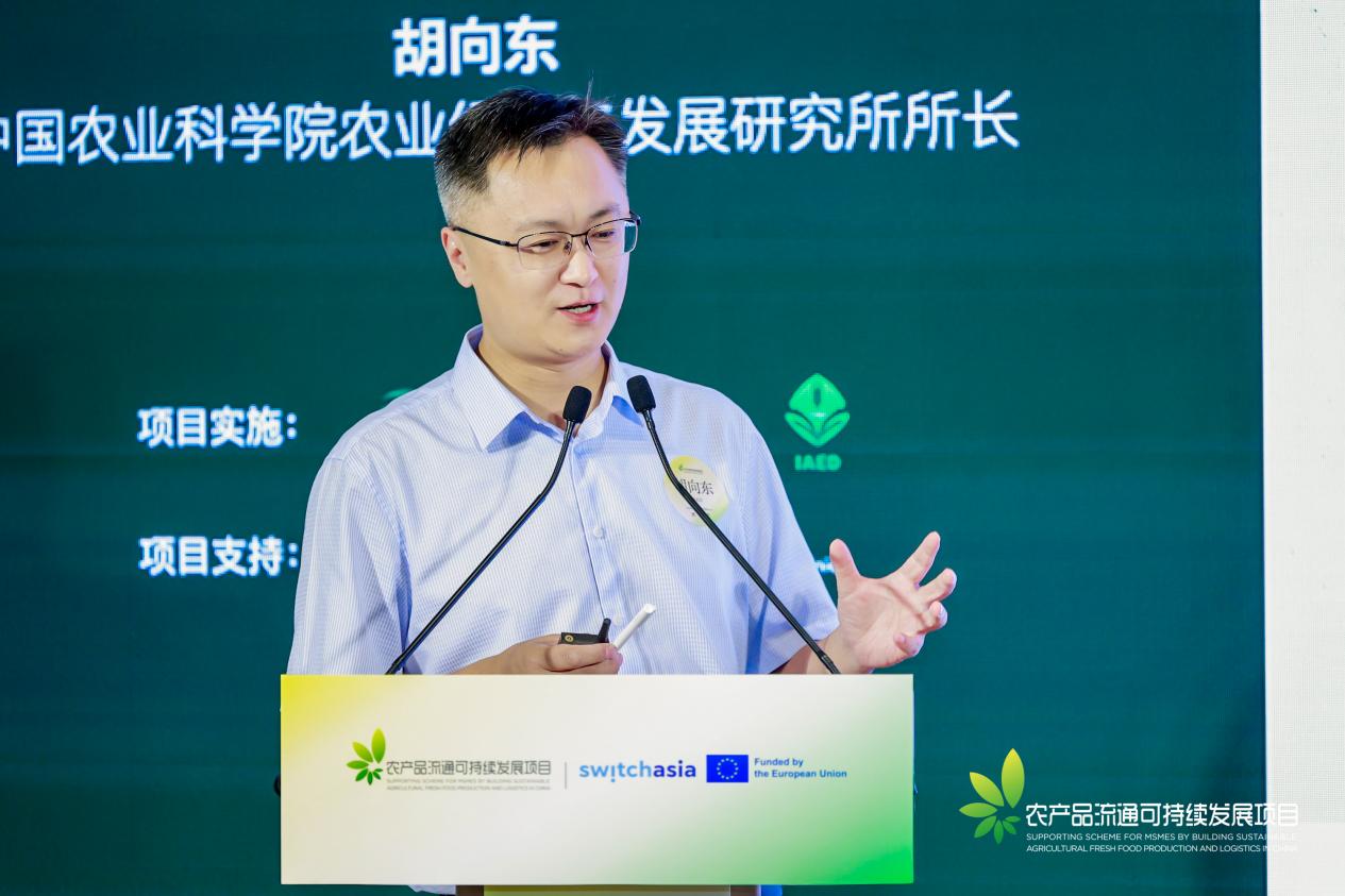 胡向东